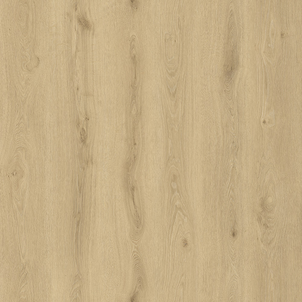 PJT327 8mm ac5 light grey oak laminate flooring