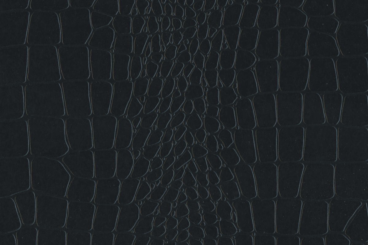1995_副本.png